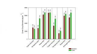 Whiteboard Series: Termination Timing Effect on Cereal Rye Biomass