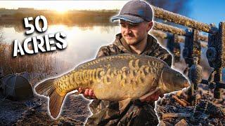 Carp Fishing on a NEW Big Pit | 50mph Winds on 50 Acres | Doddington Lane Pits |