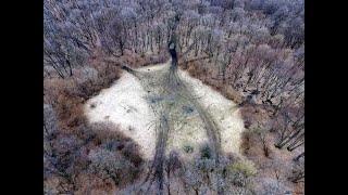 The Mysterious Hoia Baciu Forest: Romania's Most Haunted Forest