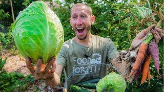 Permaculture Garden Harvest | 100% Organic BACKYARD Gardening at it's Finest