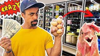 SCAM?! Why Chicken EGG PRICES are SO Expensive | What I'm doing about it