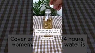 Unique root stimulating water  #garden #plants #gardenhacks