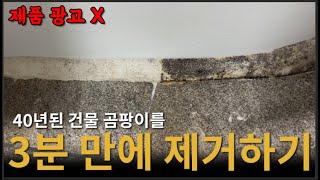 (제품 광고 X) 청소업체만 사용하는 전설의 곰팡이 제거제 공개합니다. 곰팡이 제거제 2종 비교 실험!!