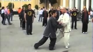 Wu tai chi chuan Greece by Master Gregory Vasilakis