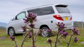 Toyota Alphard Hybrid Eco Pioneer II