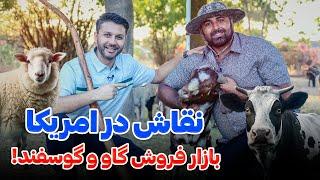 بازار فروش گاو و گوسفند|نقاش (نخاس) امریکا|دیدار وطنی وطندار|خرید قربانیSpecial Didar| Qurbani