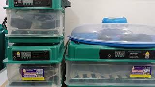 Best egg Incubator Shop In Multan || Egg Incubator price In Pakistan