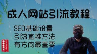 成人色情网站科普：SEO与网站引流。揭秘灰产网站都是如何引流，揭秘色情网站如何提交网站给搜索引擎收录排名。