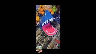 Feeding Shark with Smarties Chocolates | ASMR & SATISFYING Sound #subscribe #food #viralvideos #love