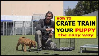 How to CRATE Train Your Puppy - The EASY Way to Crate Train Your Dog
