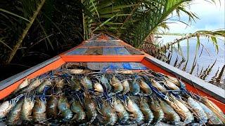 Depan belakang strike sampai kualahan. Rekor mancing udang di akhir tahun 2022..