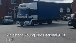 Maidstone Young Bird National 9100 Birds