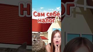 Налоговая декларация 3-НДФЛ: как заполнить самостоятельно и сделать себе долг по налогам