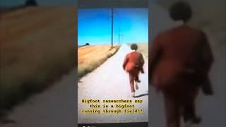 Bigfoot researchers are reaching saying this is a bigfoot running in a field #animals #funnyshorts