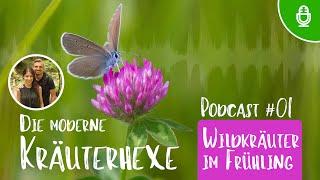 Wildkräuter im Frühling sammeln - Podcast Folge 01 - Die moderne Kräuterhexe