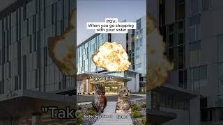 CAT MEMES  when you get misunderstood by your sister's boyfriend #shorts #catmemes #relatable