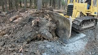 Clearing land with a dozer