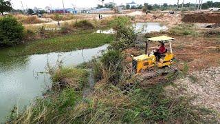 Wonderful Dozer Clearing Forest | Clean up the forest along the canal​​ By Experts Bulldozer D31p