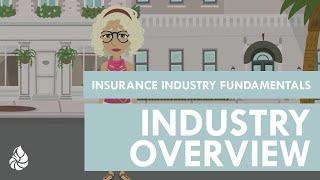 Insurance Industry Fundamentals: Nervous Nellie