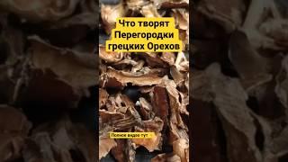 Уникальные Свойства Перегородок Грецких Орехов. Как правильно приготовить отвар и настойку!