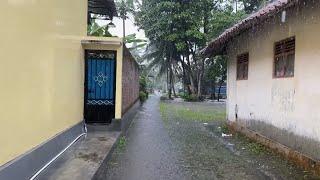 Super Heavy Rain & Strong Thunder In My Village|Happy Village Children With the Sound of Heavy Rain