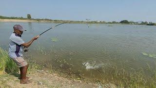 6 hook Hand line fishing Technique|Small Rohu fishes Catching in Vallge pond|Guchha gal fishing