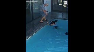 Owner rescues dog from pool twice – moments apart