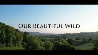 Our Beautiful Wild – Young Voices for Nature Film