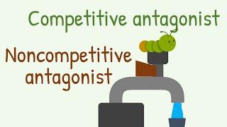 Competitive Antagonist vs Noncompetitive Antagonist