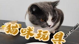 猫咪玩具推荐！快给你们的崽崽安排上！亲测好用猫咪爱玩！