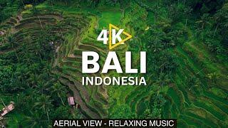 Bali, Indonesia  4K Drone video | Bali 4K Aerial view with Relaxing Music