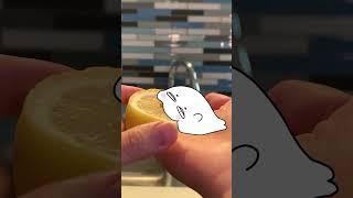Cece the Seal tries a lemon 