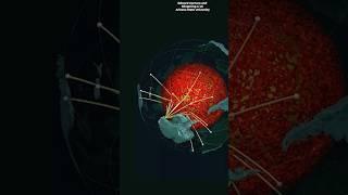 Ancient structure found inside Earth's core. #science #earth #cosmoknowledge