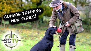 Shooting & Country TV | Gundog training for the field | Introducing our NEW puppy training series!