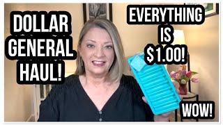 DOLLAR GENERAL HAUL | Everything Is $1.00! | WOW | Excellent Finds #dollargeneral #haul