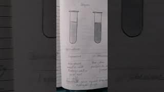 practical chemistry, 10, 11.1