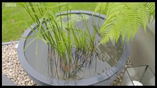 Malvern Flower Show - Green Living Space Gardens