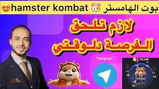 هامستر كومبات شرح  شرح بوت هامستر شرح hamster kombat من الصفر خطوة خطوة للمبتدئين 