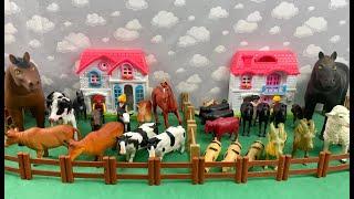 FARM, COW, OX, HORSE, GOAT, SHEEP, BULL, ROOSTER, TRAILER/FAZENDA, VACA, BOI, CAVALO, PORCO, GALO