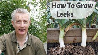 How To Grow Leeks - A Complete Guide From Sowing Seed To Harvesting.