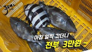 아침 일찍갔더니  돌돔에 쥐치를  전부 3만원~