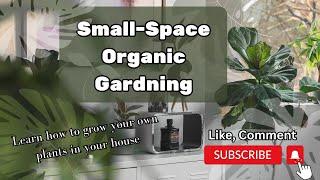 Small Space Organics