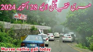 murree live today | Nathia gali today | #murree weather today | murree snowfall update #2024