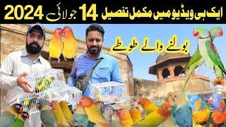 sunday birds market lahore 2024 | sunday birds market latest price update