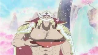 Whitebeard & Gol D Roger Last Meeting English Dubbed