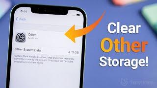 How to Clear Other Storage on iPhone (10 Ways)