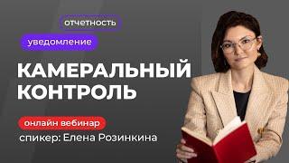 Камеральный контроль | Елена Розинкина