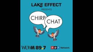 Chirp Chat: Caring for Wisconsin's beloved cranes