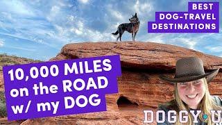 10,000 Miles on the Road with my Dog: Best Dog-Friendly Travel Destinations Across the Country