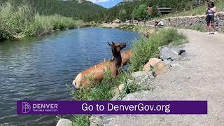 Denvers Great Outdoor: Parks and Recreation